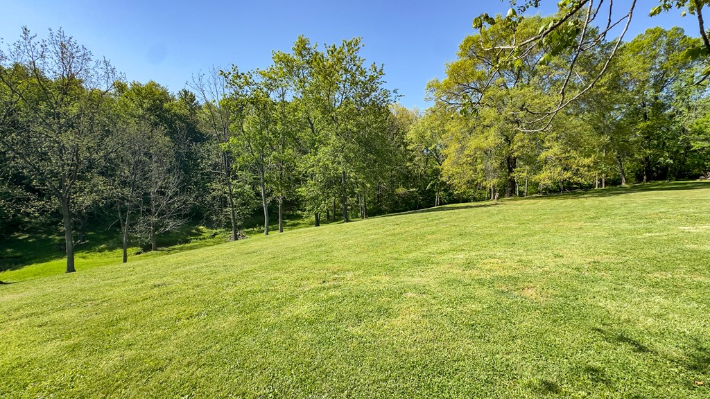 111 Ed Michael Drive Property Photo 27