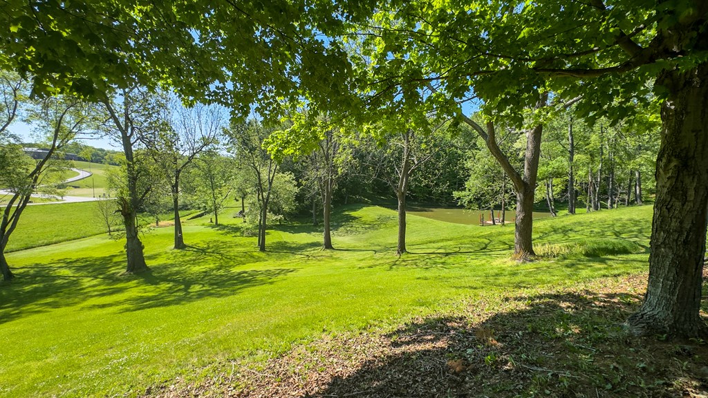 111 Ed Michael Drive Property Photo 28