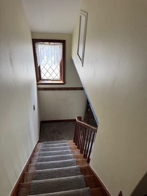 110 S Pearl Property Photo 14