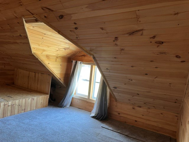 110 S Pearl Property Photo 58