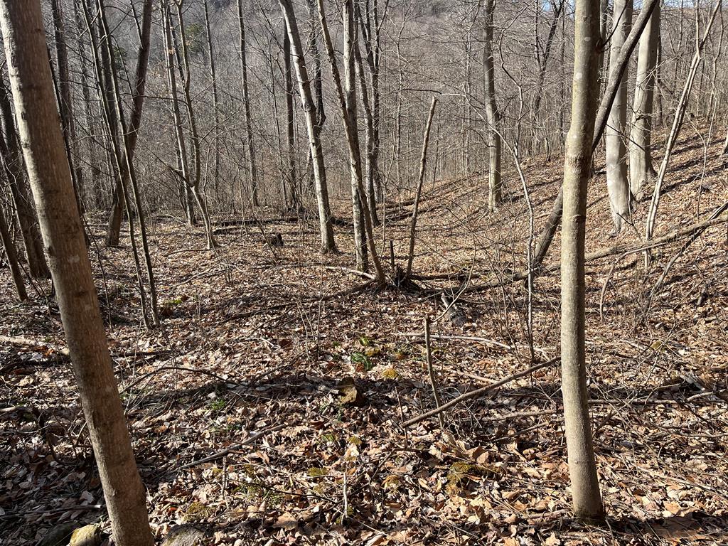 Se Hickson Run Road Property Photo 1