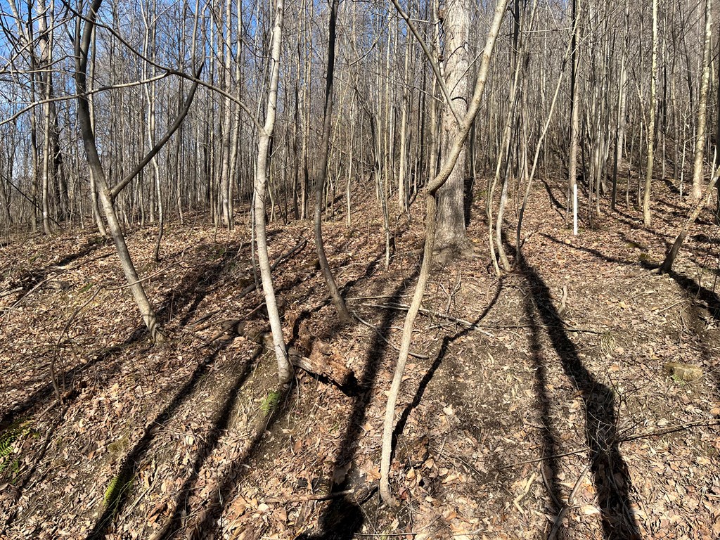 Se Hickson Run Road Property Photo 2