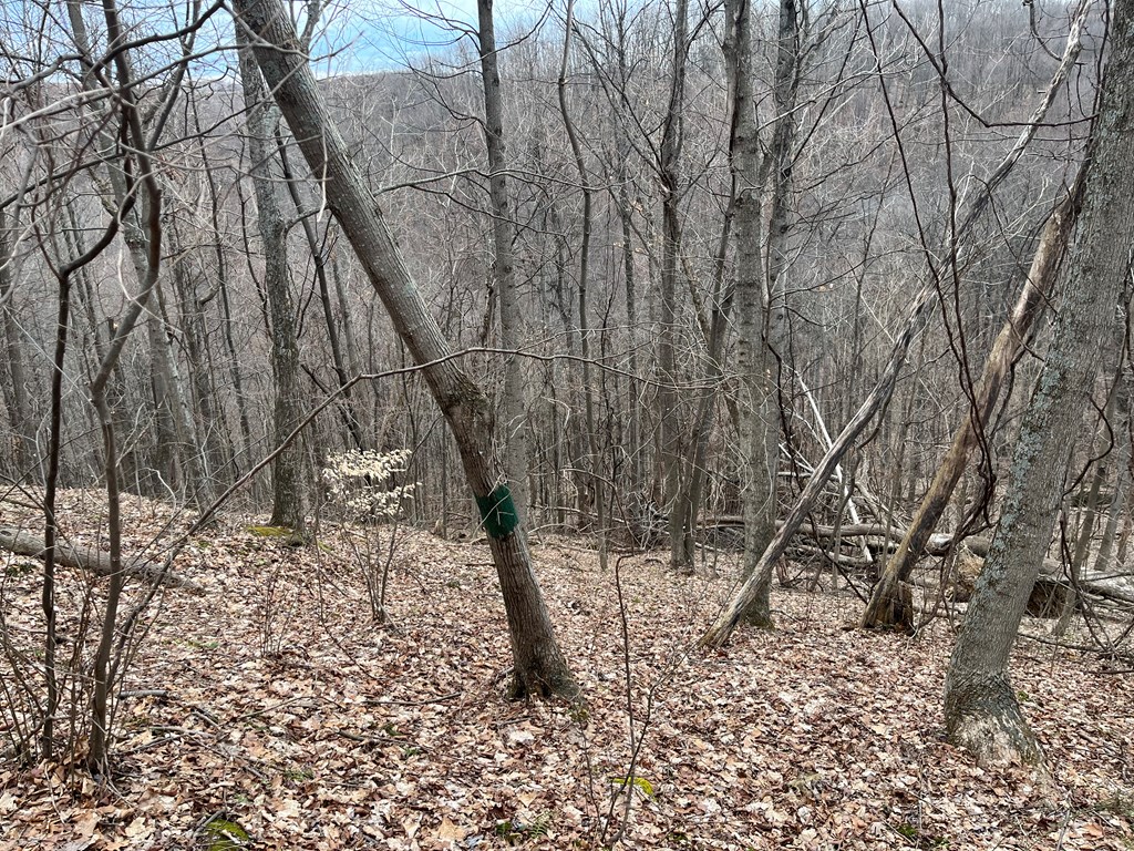 Se Hickson Run Road Property Photo 3