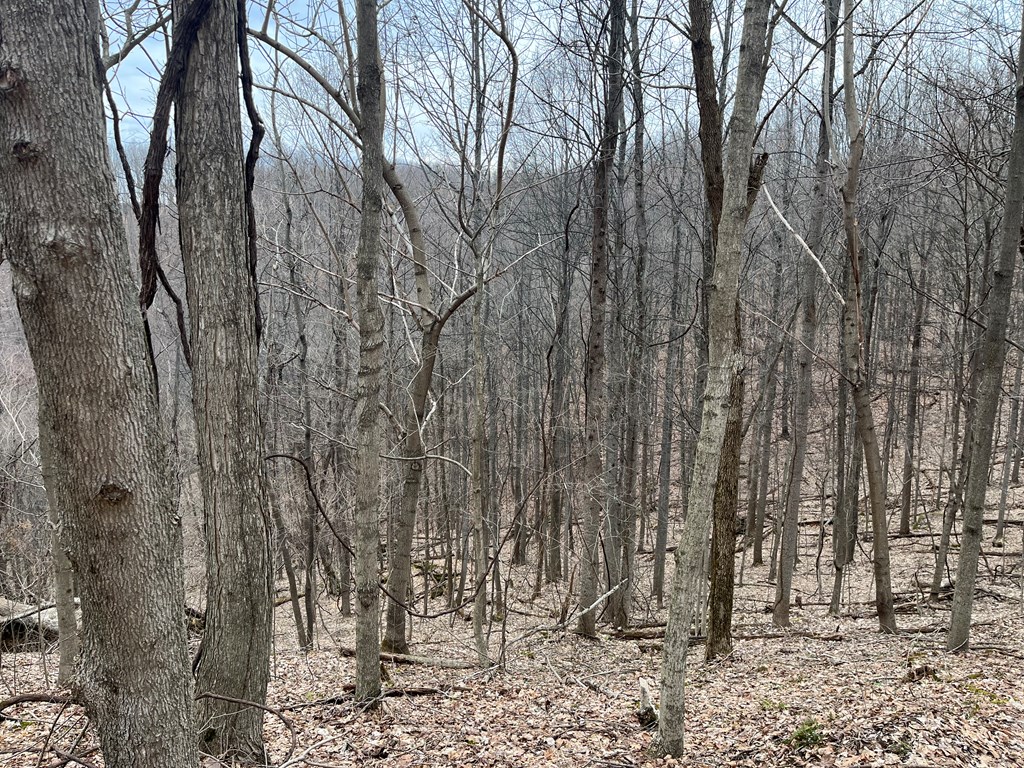 Se Hickson Run Road Property Photo 4