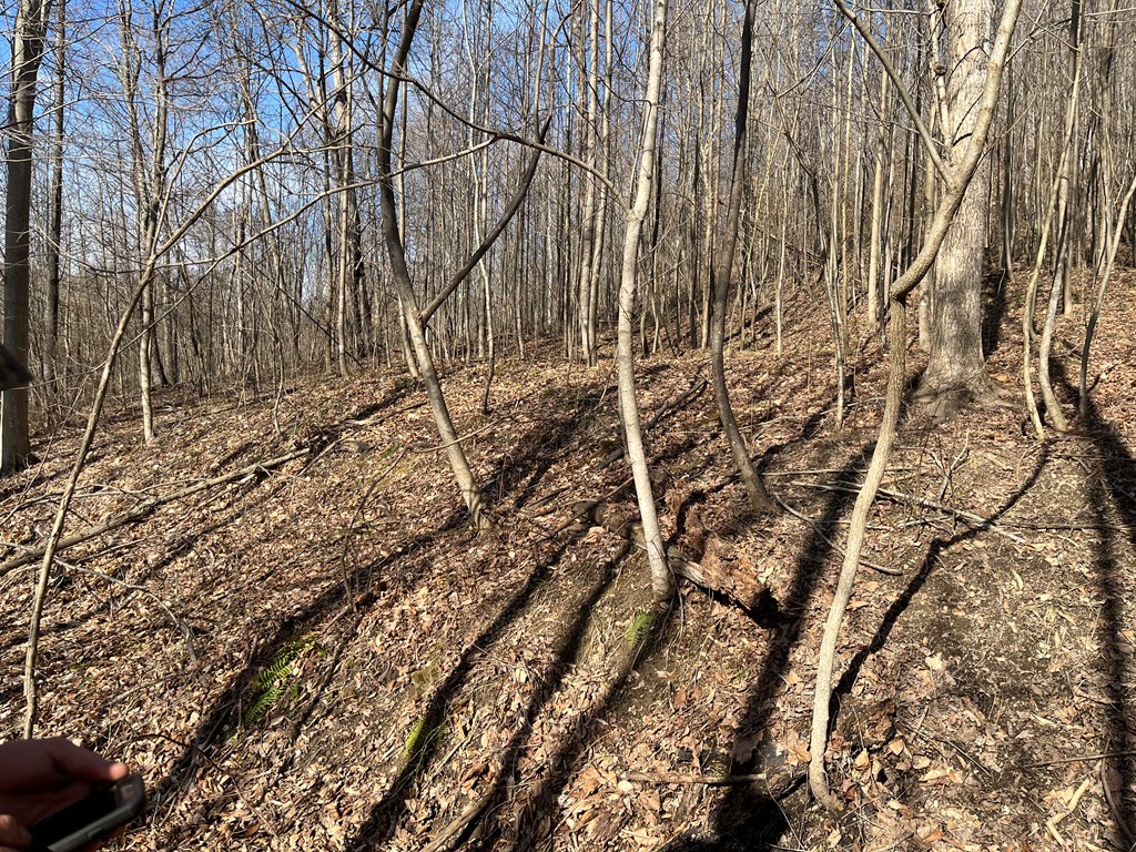 Se Hickson Run Road Property Photo 5