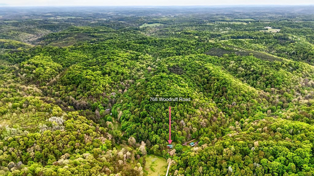 768 Woodruff Road Property Photo 4