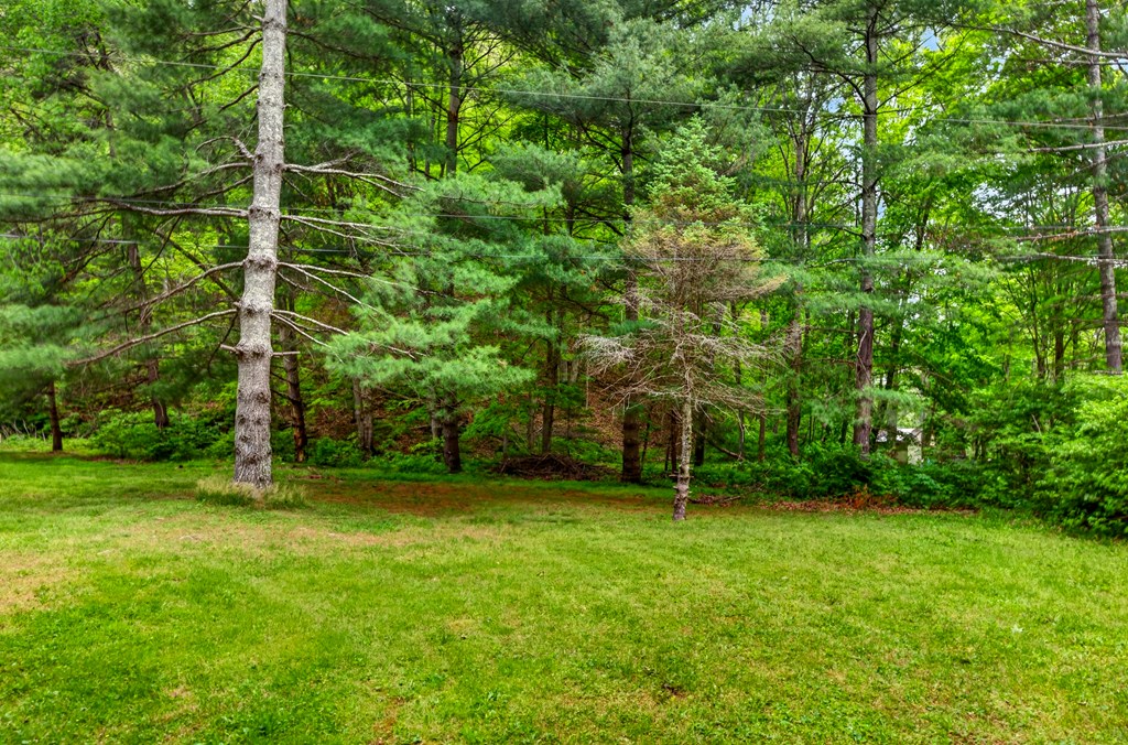 768 Woodruff Road Property Photo 8
