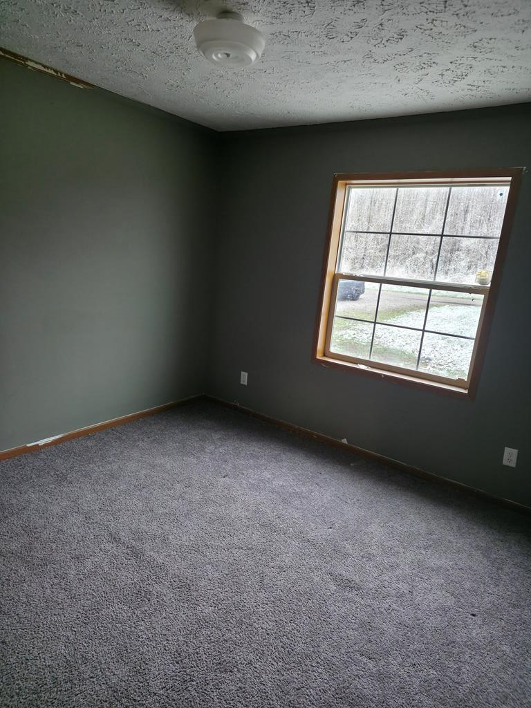 838 Grimsley Poor Road Property Photo 9