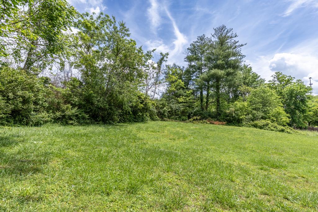 125 Longworth Property Photo 13