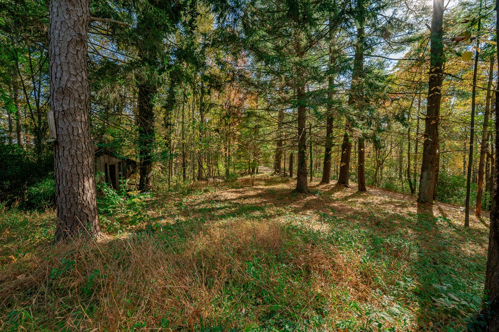 55130 Hutt Road Property Photo 12