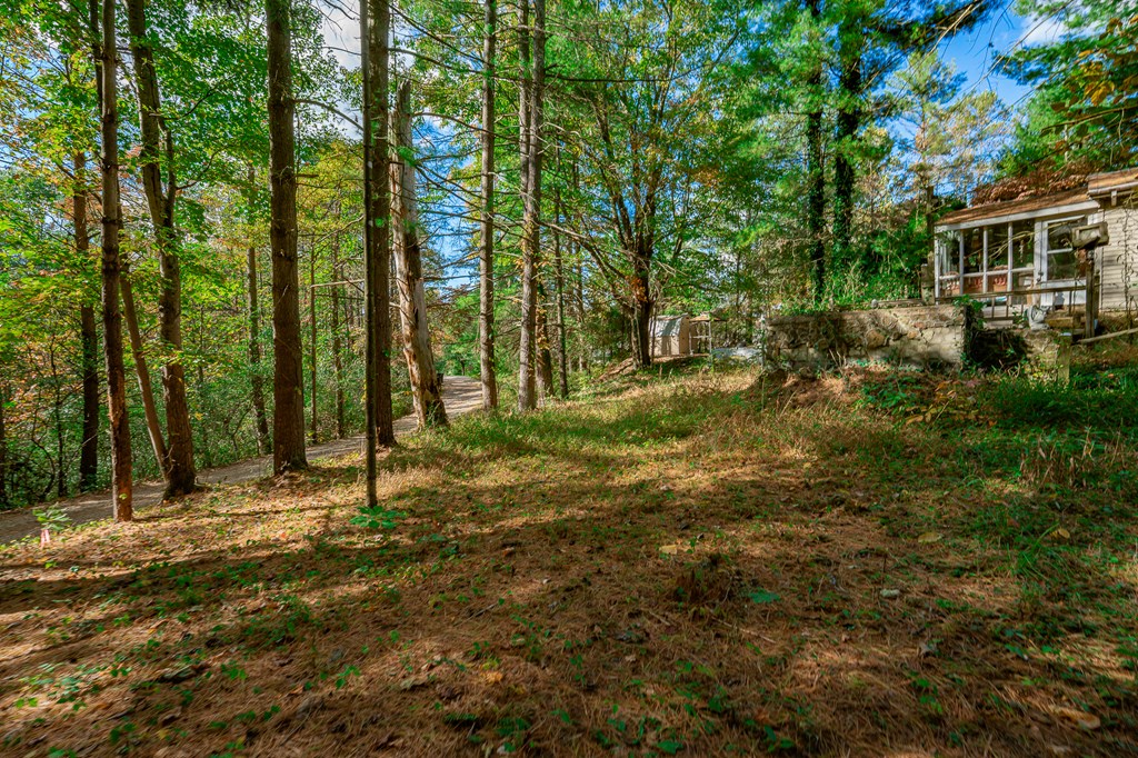 55130 Hutt Road Property Photo 13