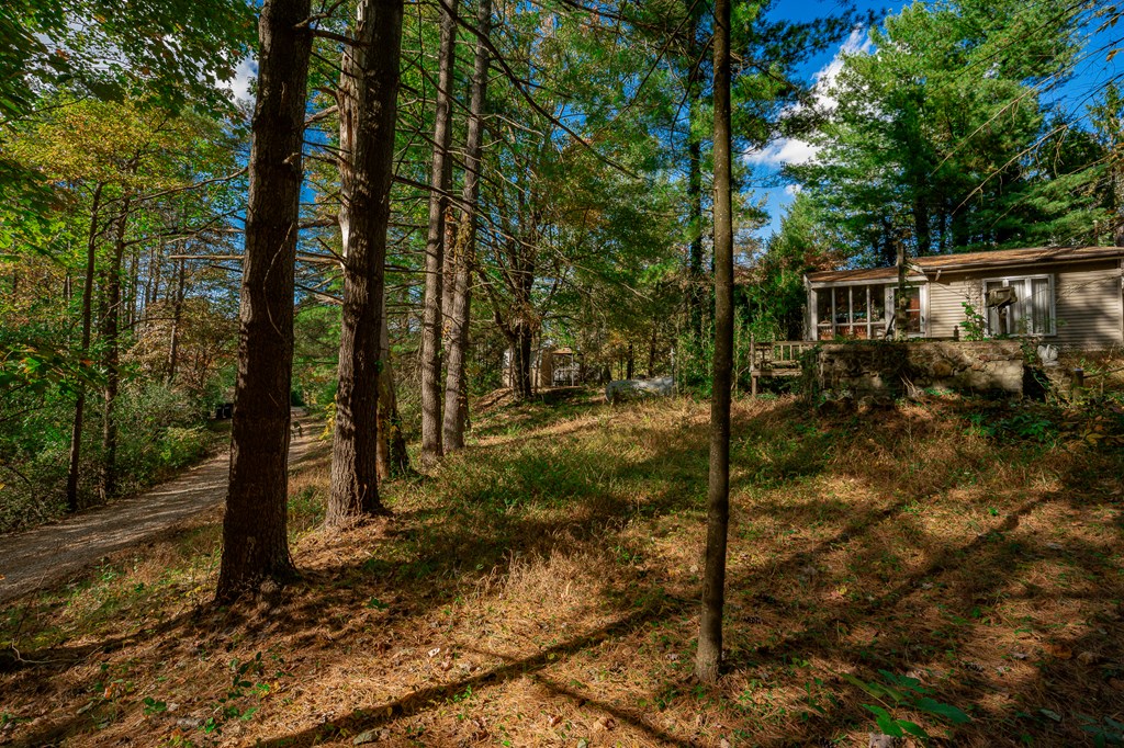 55130 Hutt Road Property Photo 17