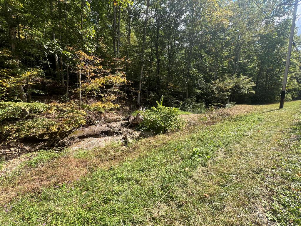 0 Goose Creek Road Property Photo 1