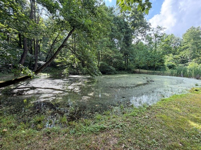 2133 Davis Property Photo 5