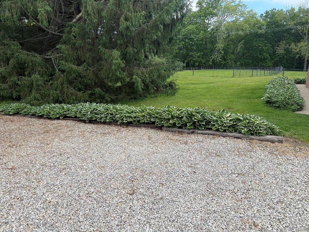 141 Delano Road Property Photo 39
