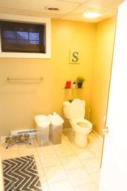 6 Apricot Lane Property Photo 21