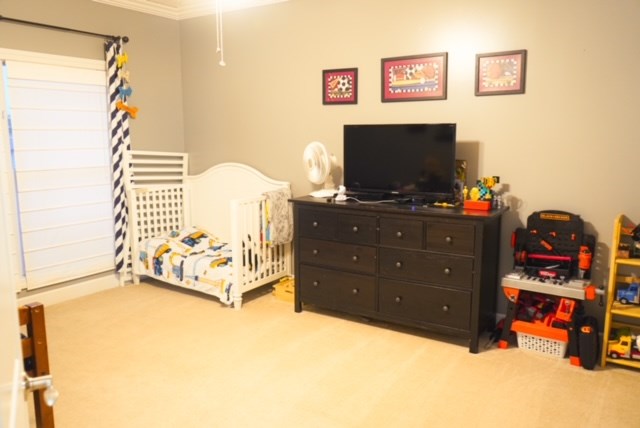 6 Apricot Lane Property Photo 25