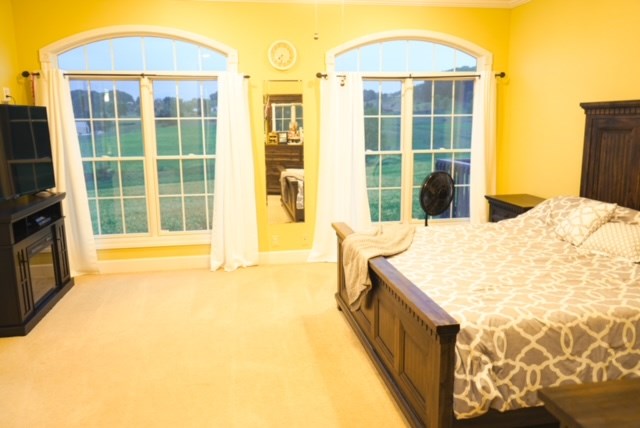 6 Apricot Lane Property Photo 27