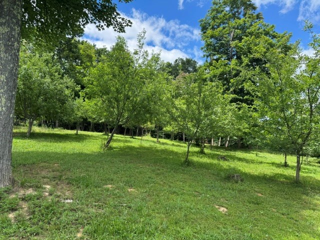 58861 Murphy Remy Road Property Photo 26
