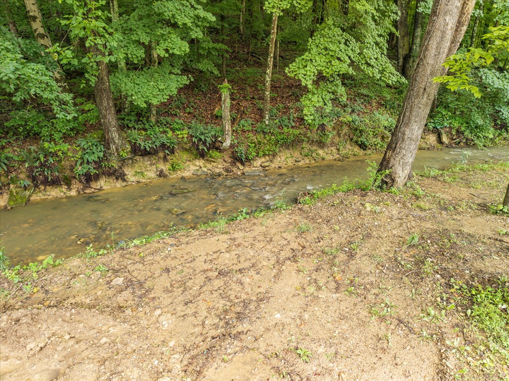 94 Cedar Hill Drive Property Photo 48