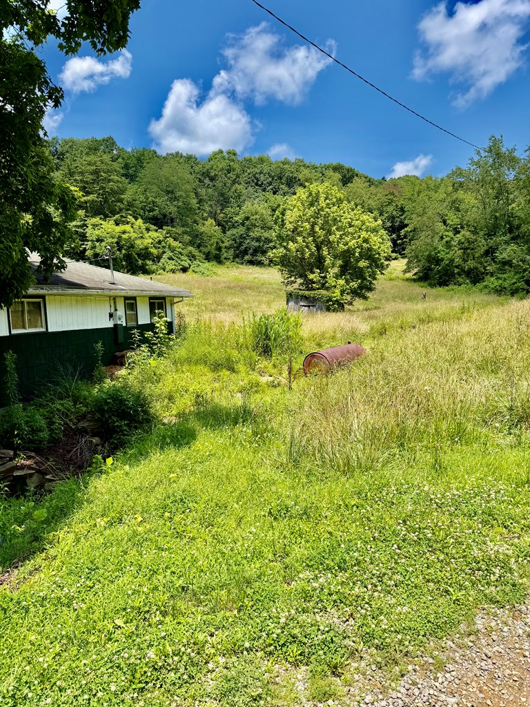 1451 Miller Lane Property Photo 21