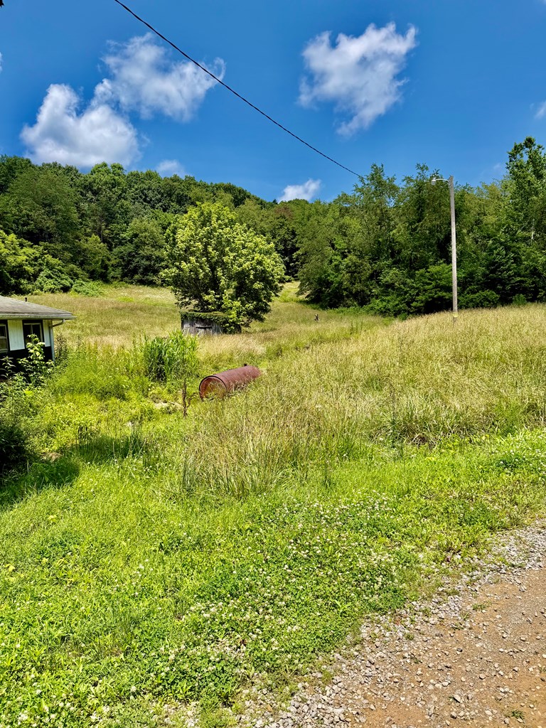 1451 Miller Lane Property Photo 22