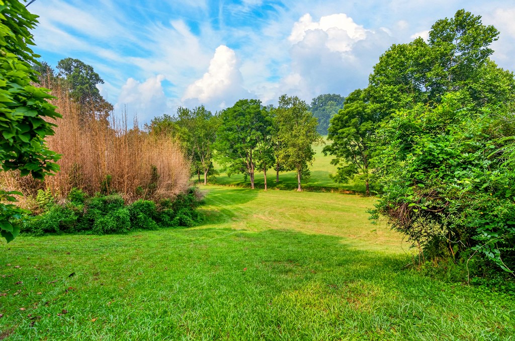 33791 St. Rt. 683 Property Photo 35