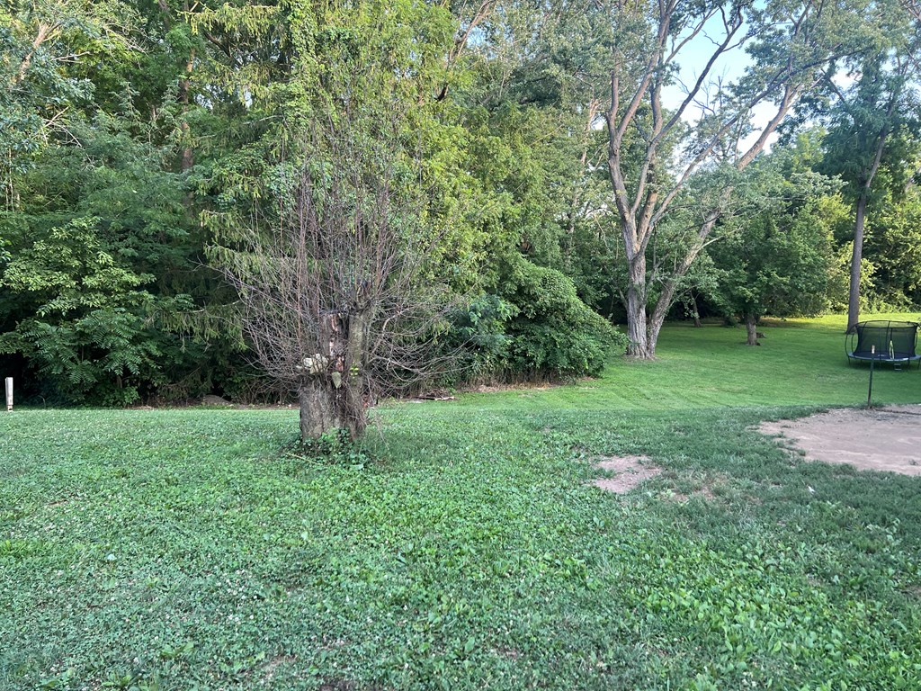 231 Beechwood Drive Property Photo 9