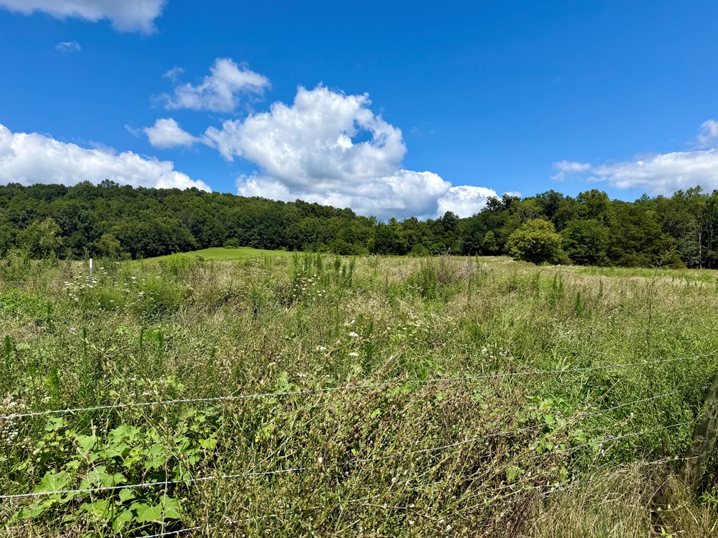 6467 Beaver Pike Road Property Photo 59