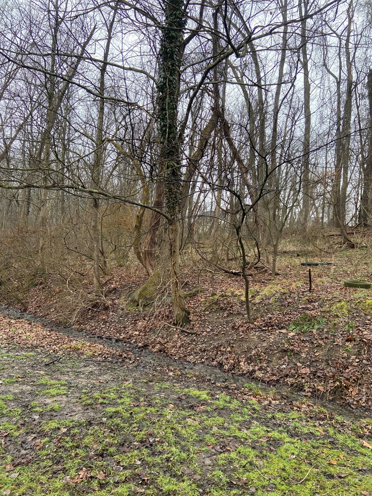0 D Street Property Photo 3