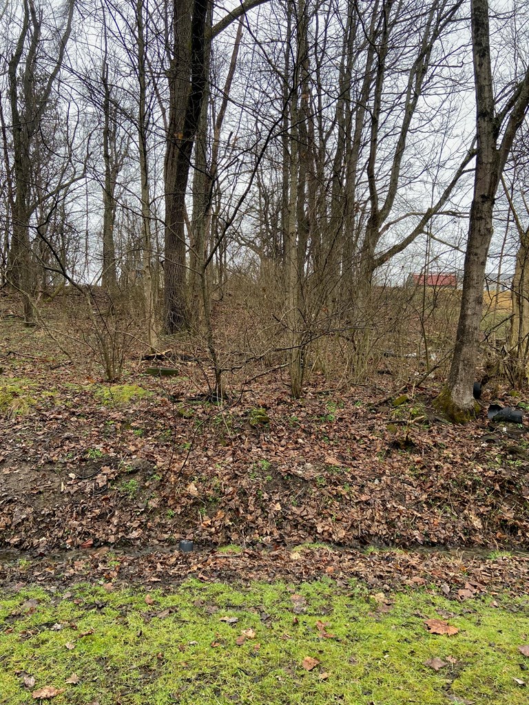 0 D Street Property Photo 4