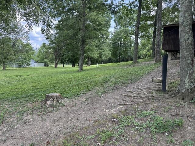 64857 Roller Coaster Road Property Photo 13