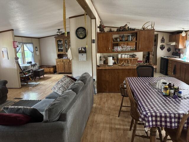 64857 Roller Coaster Road Property Photo 22
