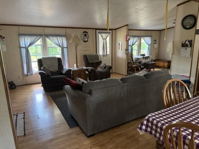 64857 Roller Coaster Road Property Photo 25