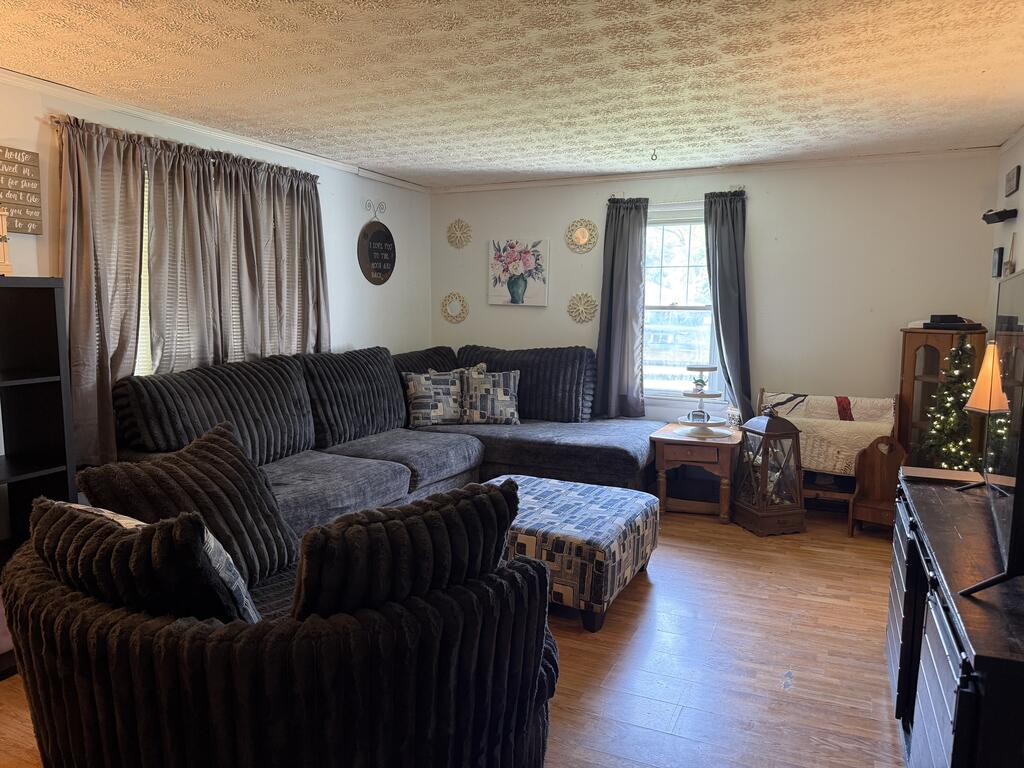 22 Payne Street Property Photo 4