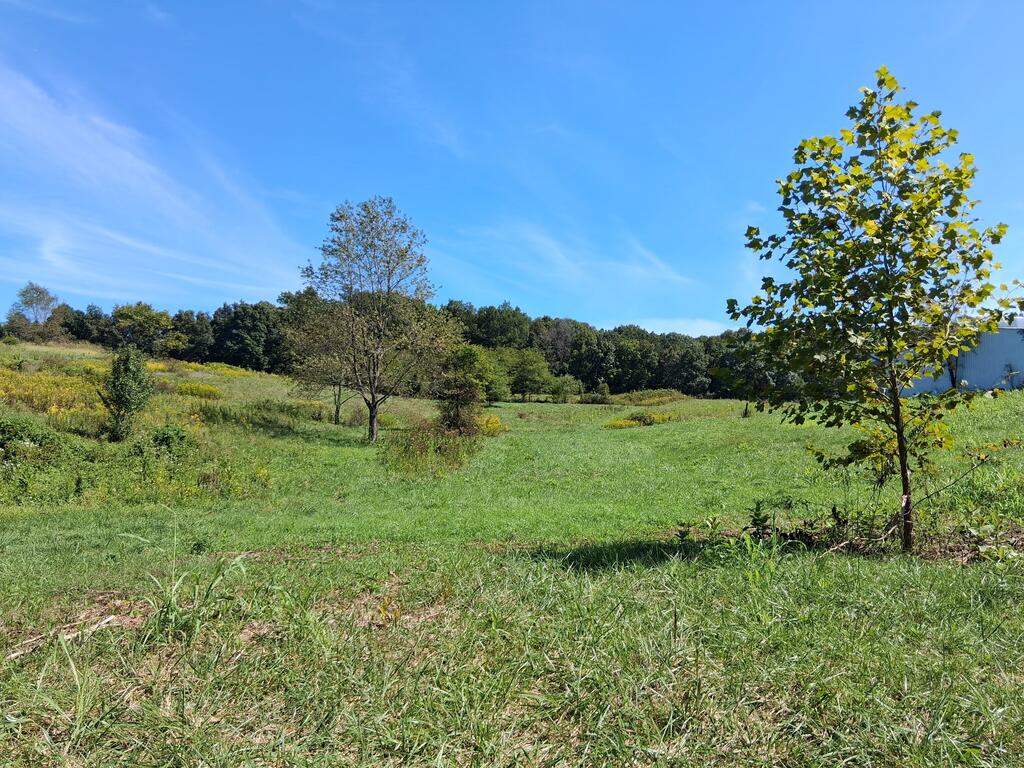 7228 Symmes Creek Road Property Photo 1