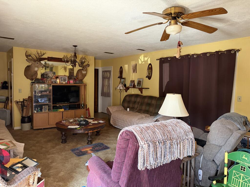 252 Narrows Road Property Photo 7