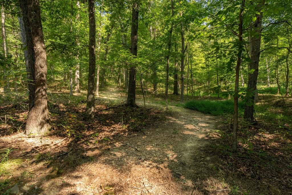 3446 Prussia Road Property Photo 44