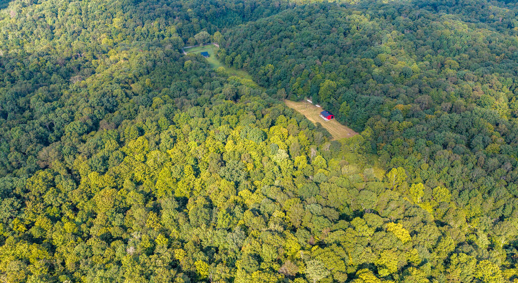 590 Scenic Drive Property Photo 19