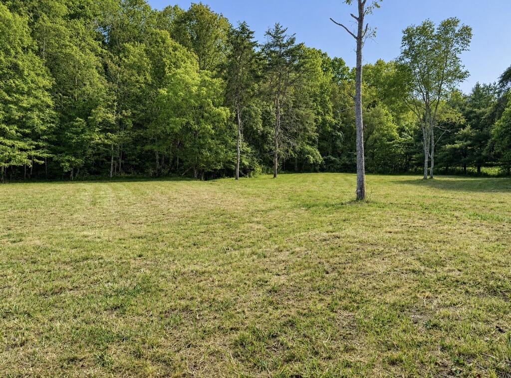 590 Scenic Drive Property Photo 22