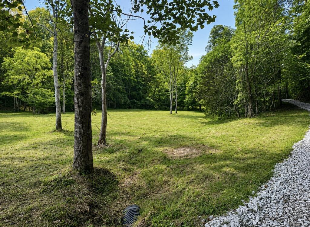 590 Scenic Drive Property Photo 23