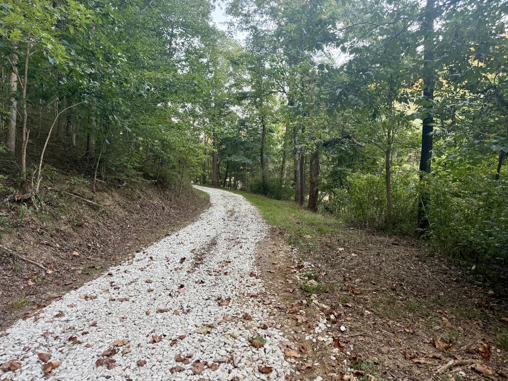 590 Scenic Drive Property Photo 26