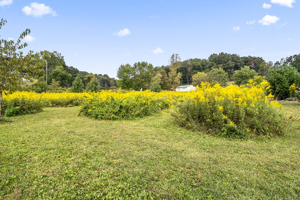 0 Dutch Run Property Photo 3