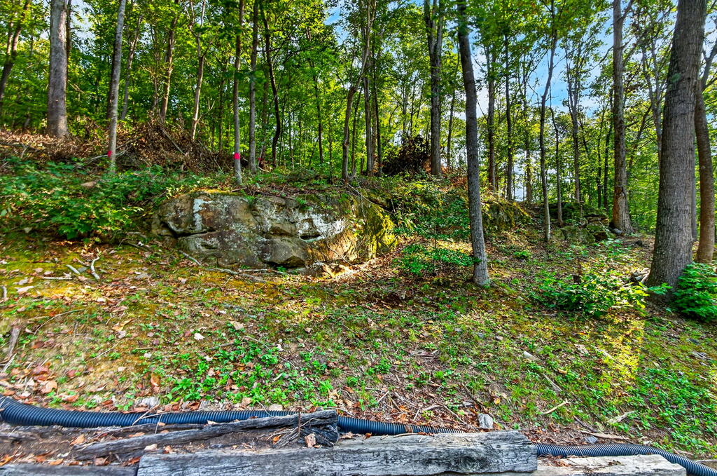 652 Laurel Lick Road Property Photo 48