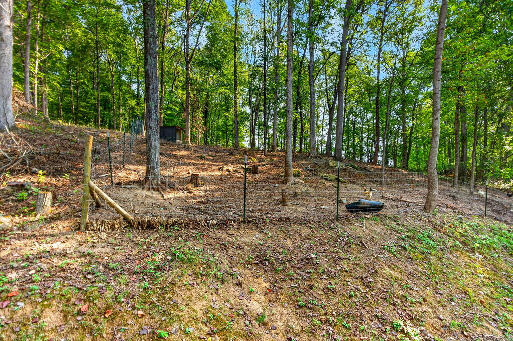 652 Laurel Lick Road Property Photo 50