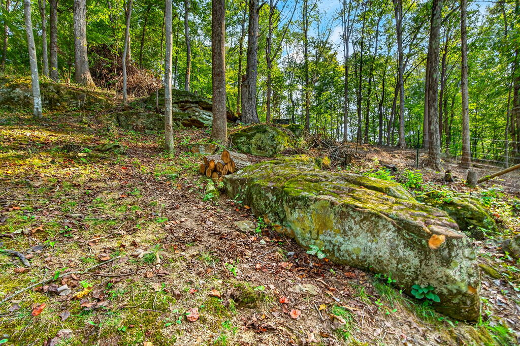 652 Laurel Lick Road Property Photo 51