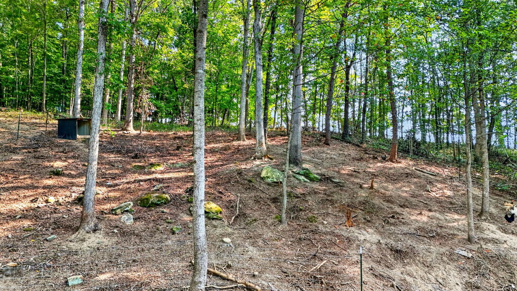 652 Laurel Lick Road Property Photo 53
