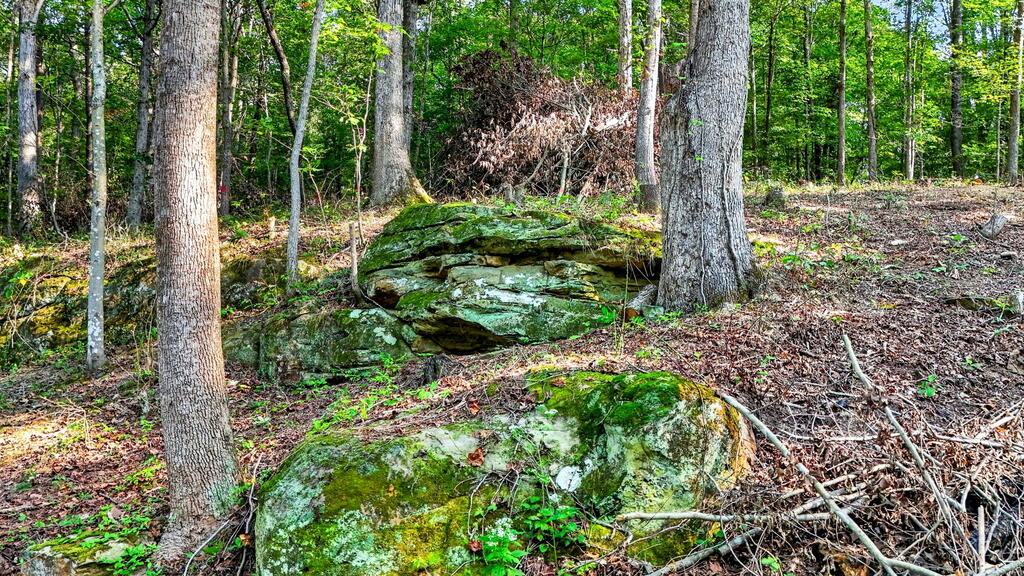 652 Laurel Lick Road Property Photo 54
