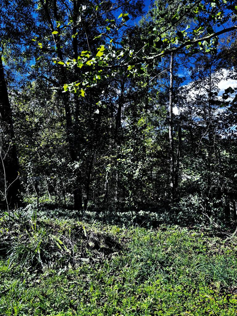 623 Brookside Drive Property Photo 12