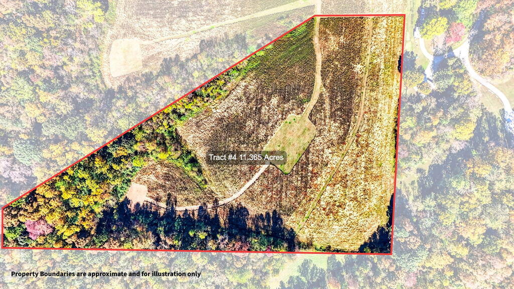 Tract 2 Camba Road Property Photo 13